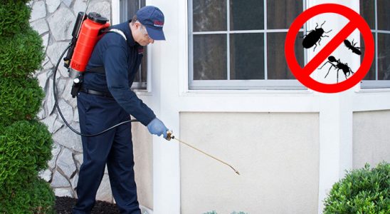 Kulu Dezenfeksiyon böcek ilaçlama ve haşere kontrolü — ilaclama-tr.com
